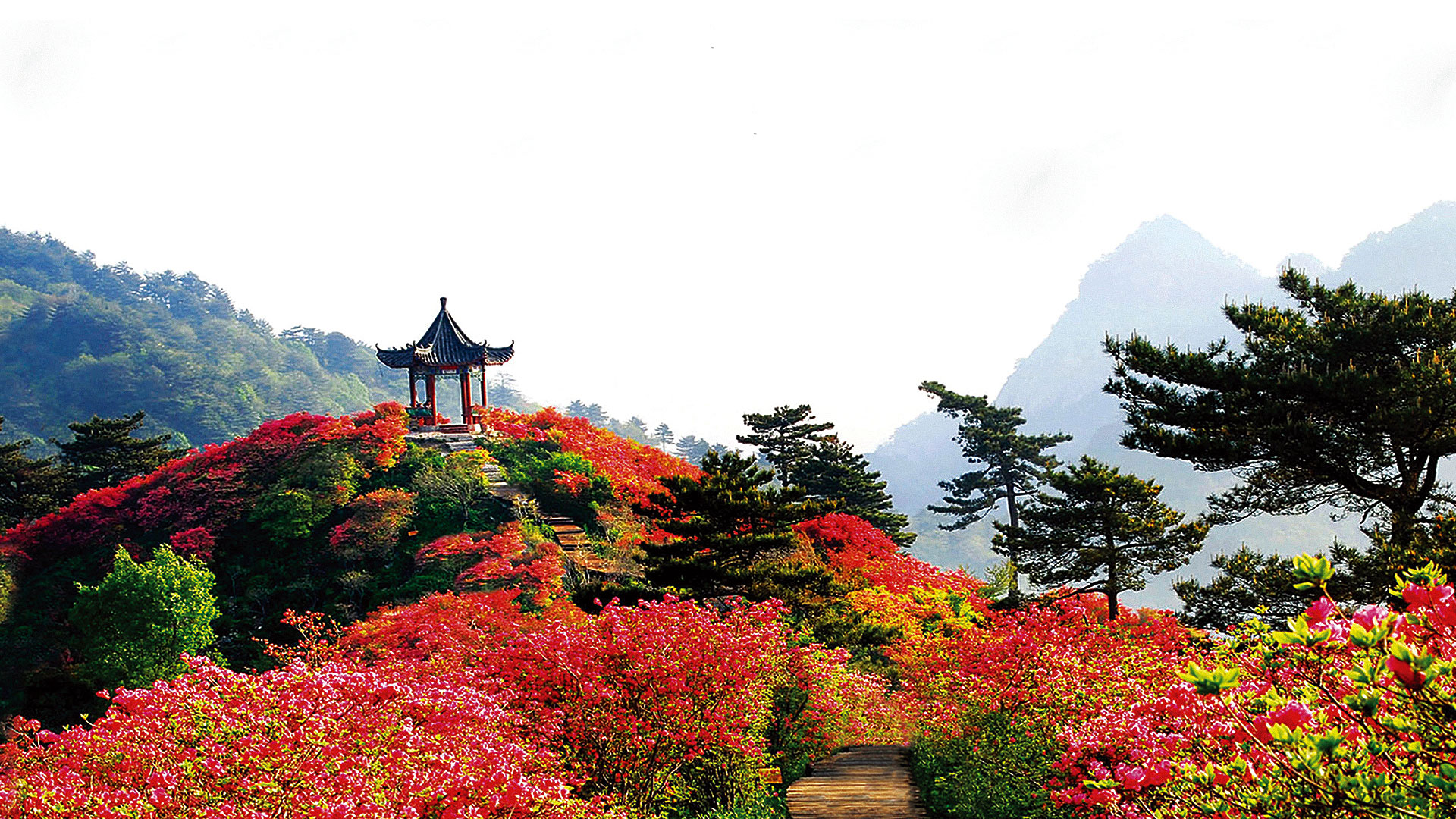 麻城龟峰山攻略,麻城龟峰山门票/游玩攻略/地址/图片/门票价格【携程攻略】