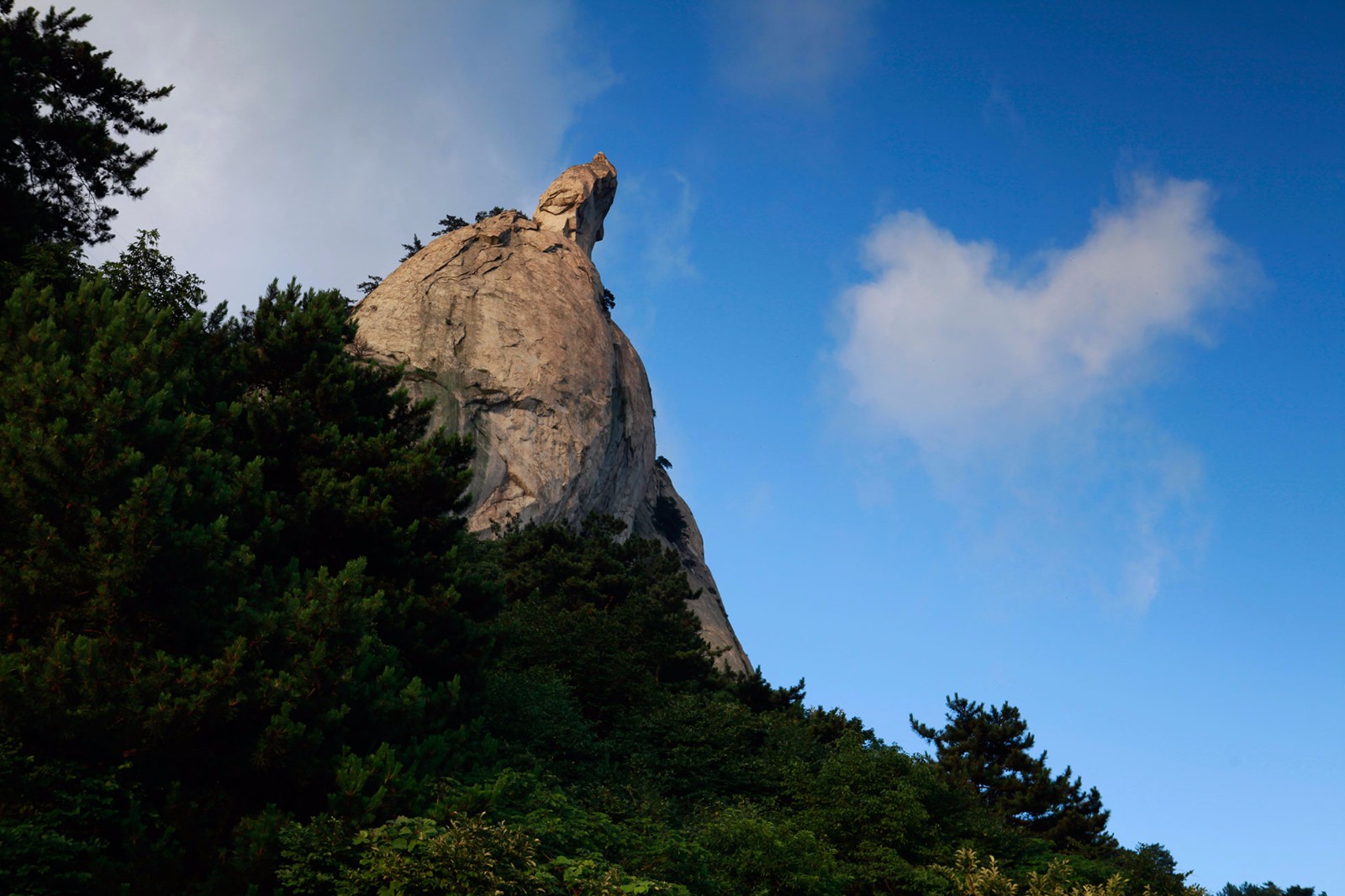 麻城龟峰山景区官方网站——中华长寿山，世界杜鹃园 龟峰山