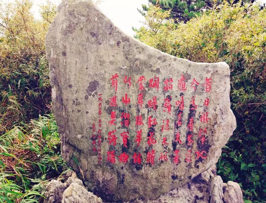 微信图片_20190702101709.jpg