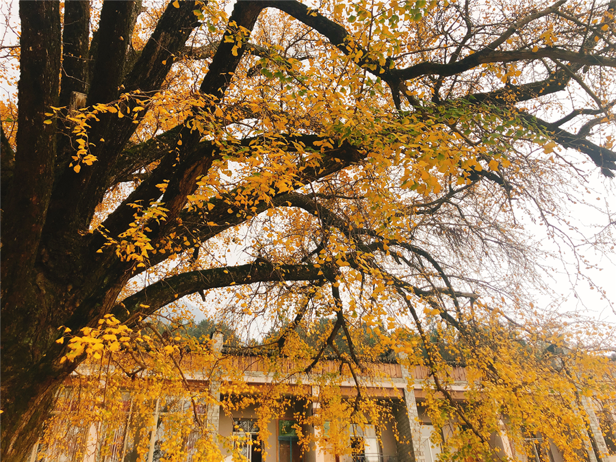 IMG_5546_副本.png