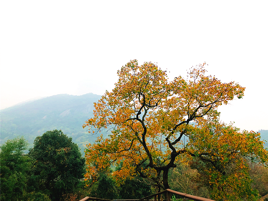 IMG_5784_副本.png
