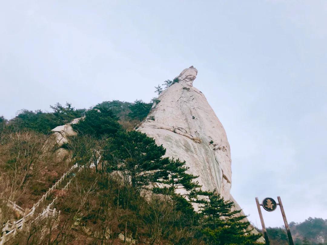 微信图片_20200423145950.jpg