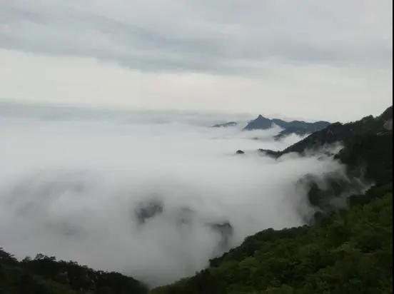 微信图片_20200507104054.jpg