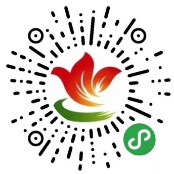 28.webp.jpg