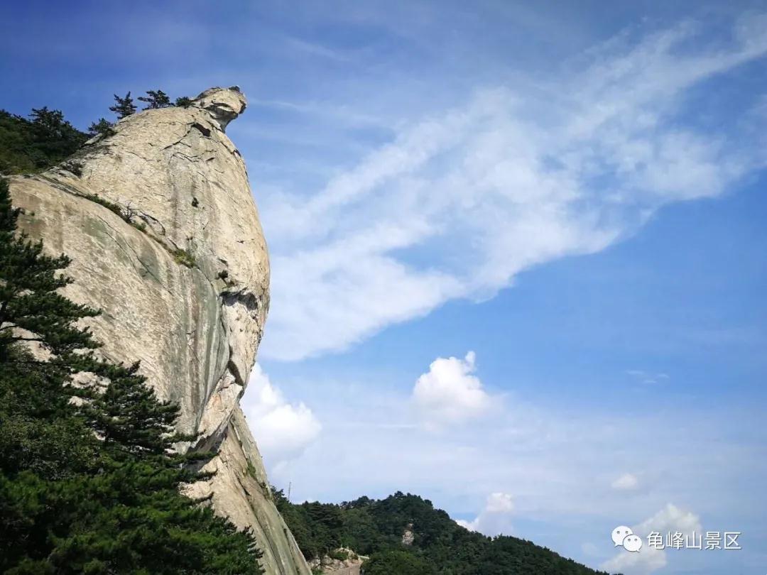 微信图片_20210323155425.jpg