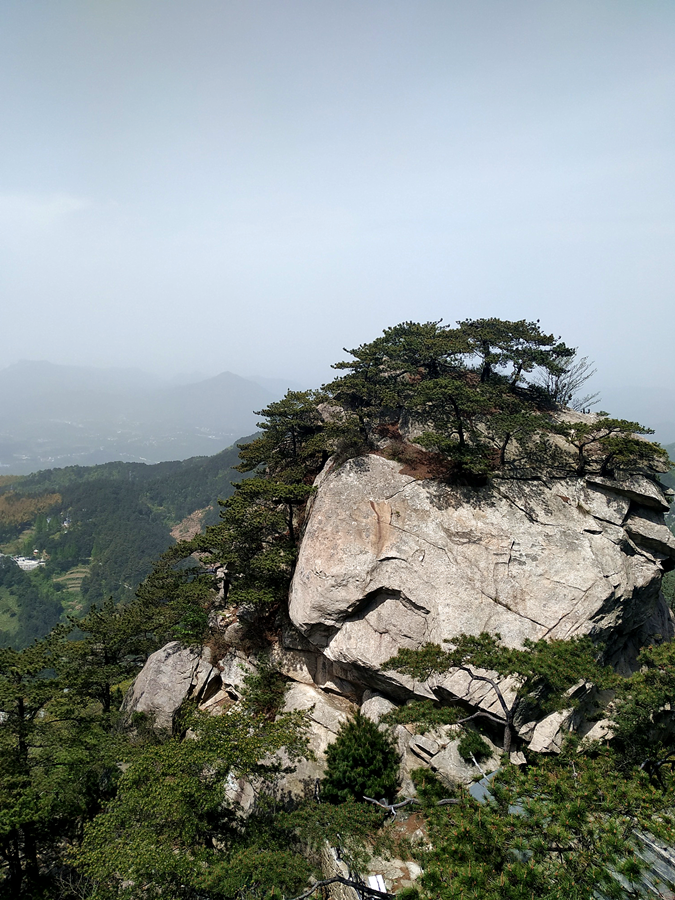 IMG_20210417_113732_副本_副本.png