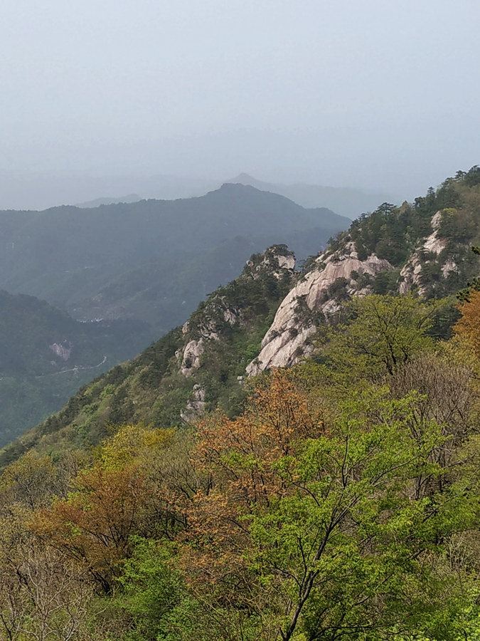 IMG_20210417_132451_副本_副本.png