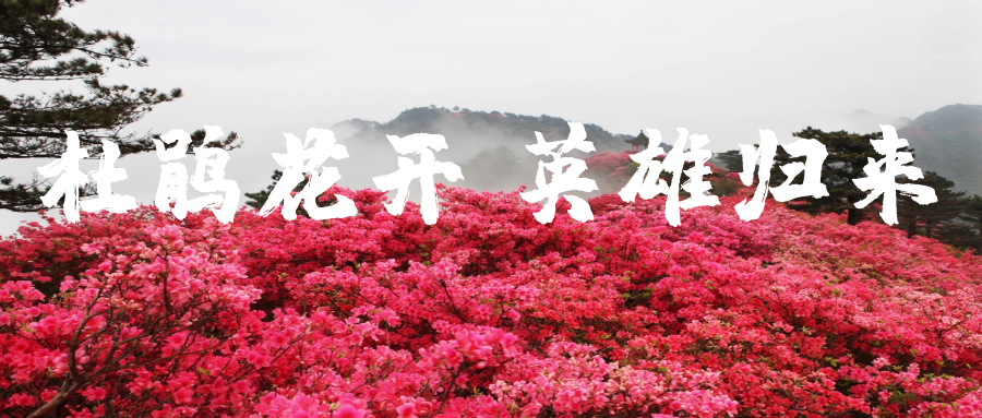 微信图片_20210503090626.png