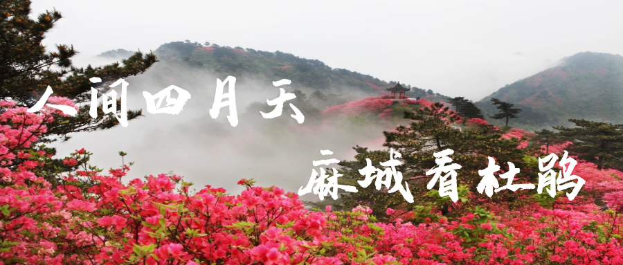 微信图片_20210506155404.png