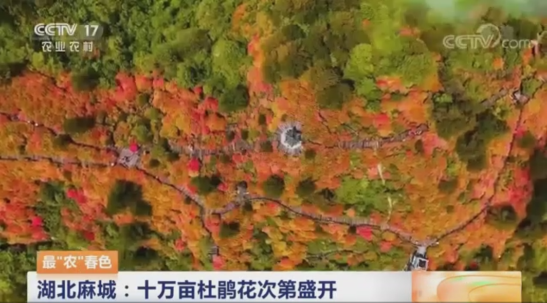 微信图片_20220506170427.png