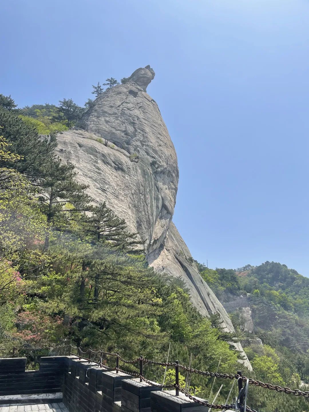 微信图片_20220508101117.jpg