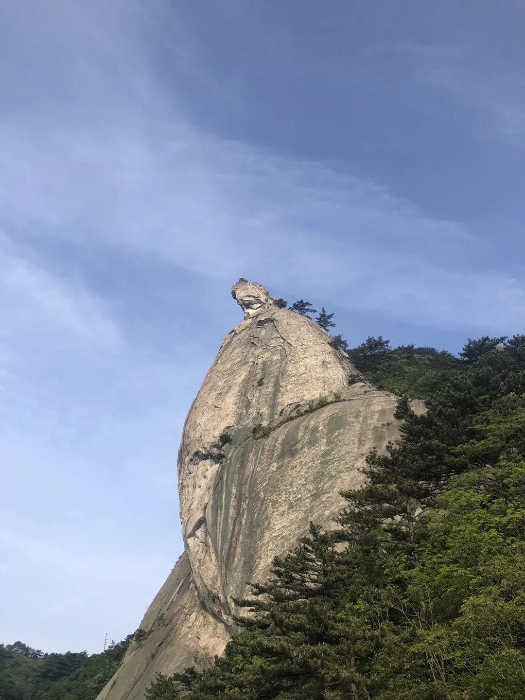 微信图片_20220509110709.jpg