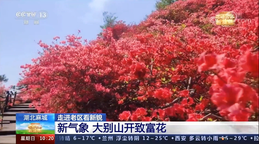 微信截图_20220509105638.png