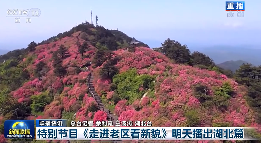 微信图片_20220509110722.png