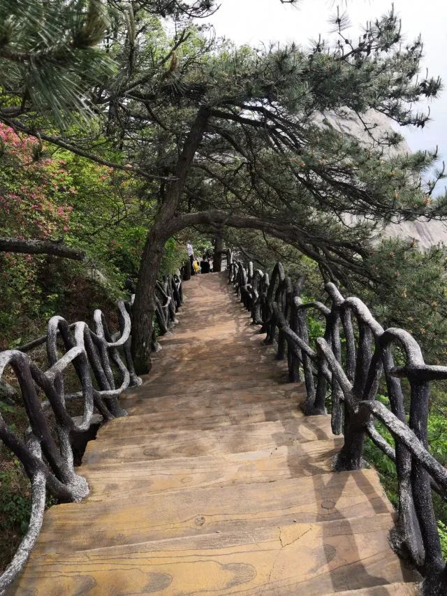微信图片_20220531102031.jpg