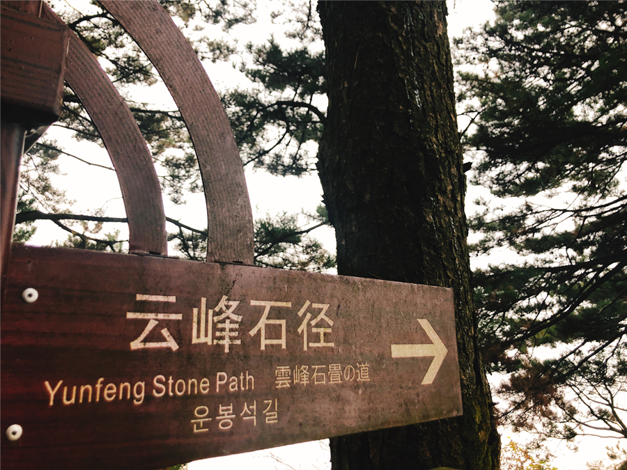 1569489233998453.png IMG_5665_副本.png