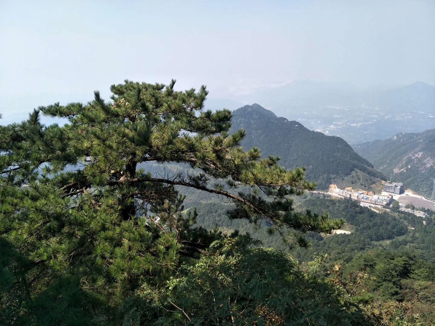 1569489388454398.jpg 微信图片_20181008140619.jpg