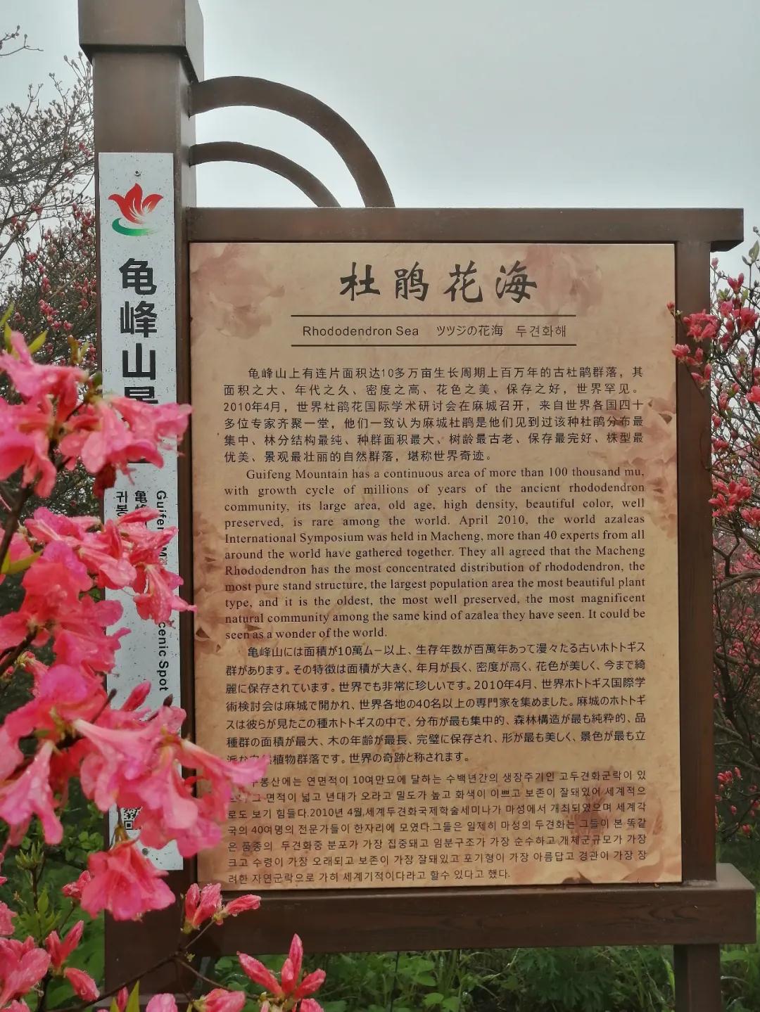 1618999613216212.jpg