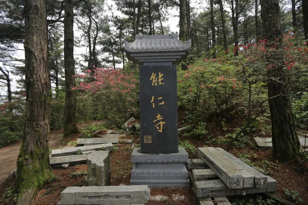 1620783903172155.jpg