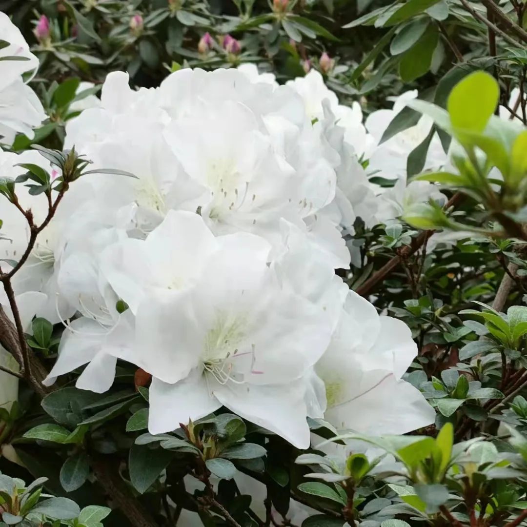 1650012590175117.jpg 微信图片_20220415163742.jpg