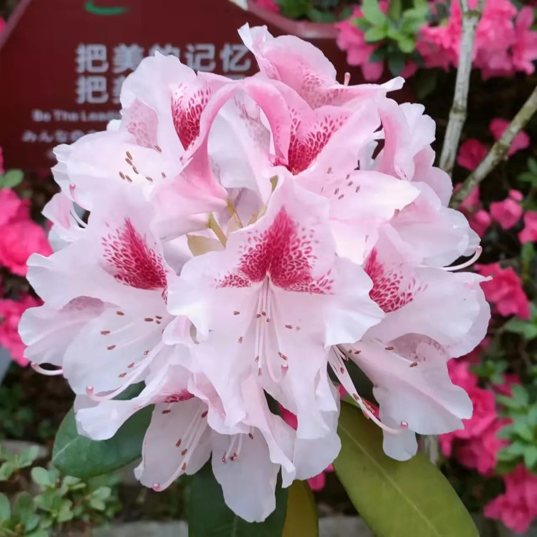 1650012596907941.jpg 微信图片_20220415163739.jpg