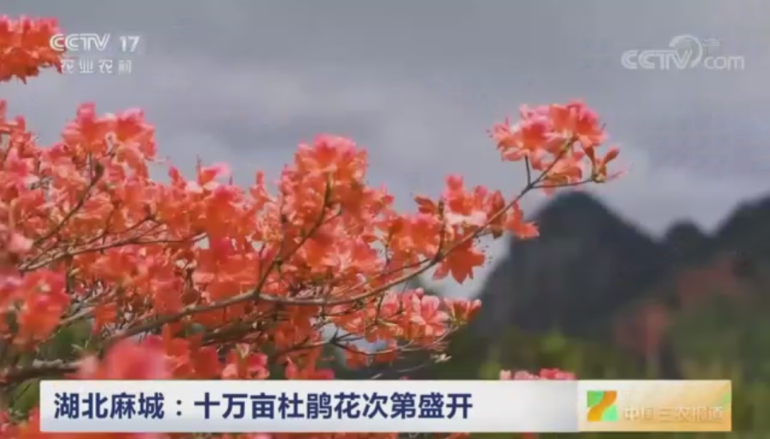 微信图片_20220506170430.png