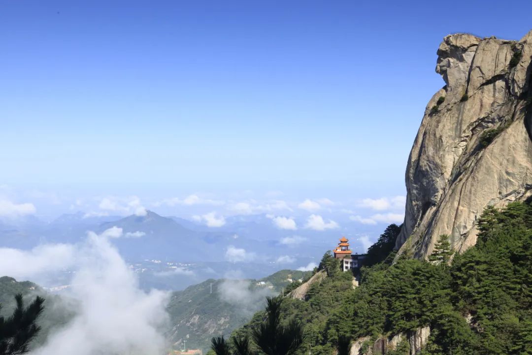 1655711699778130.jpg 640.jpg