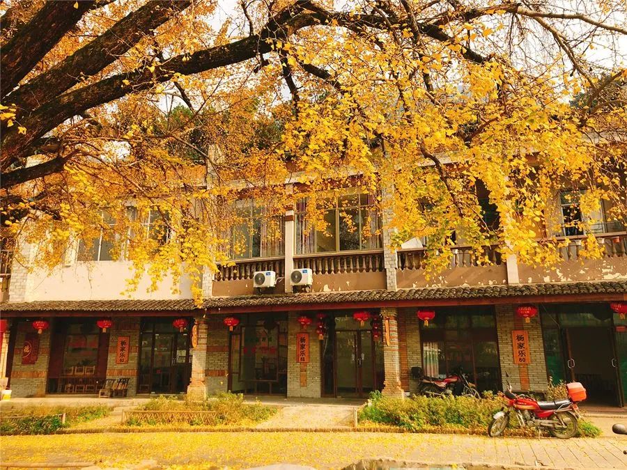 微信图片_20220630160148.jpg