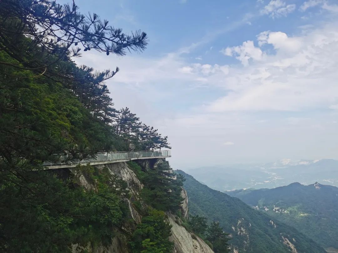 微信图片_20220722174754.jpg