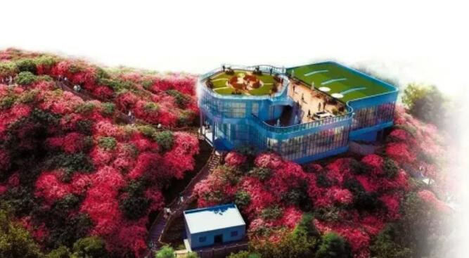 1680676432372706.jpg 1.jpg