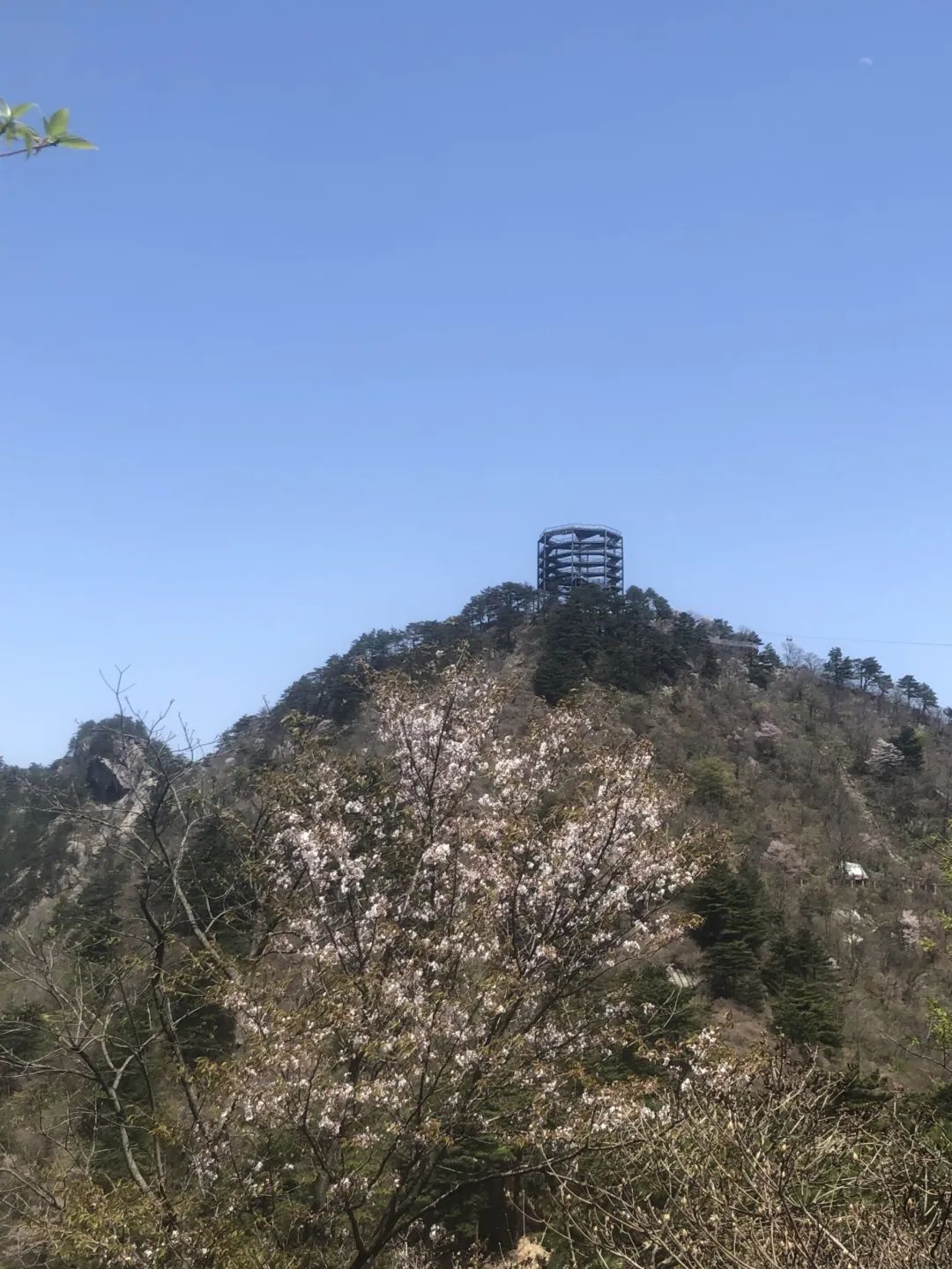 1709870179949770.jpg 2.jpg