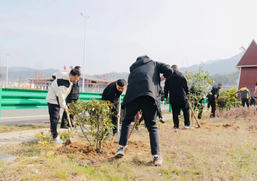 1710297182189757.jpg 1.jpg