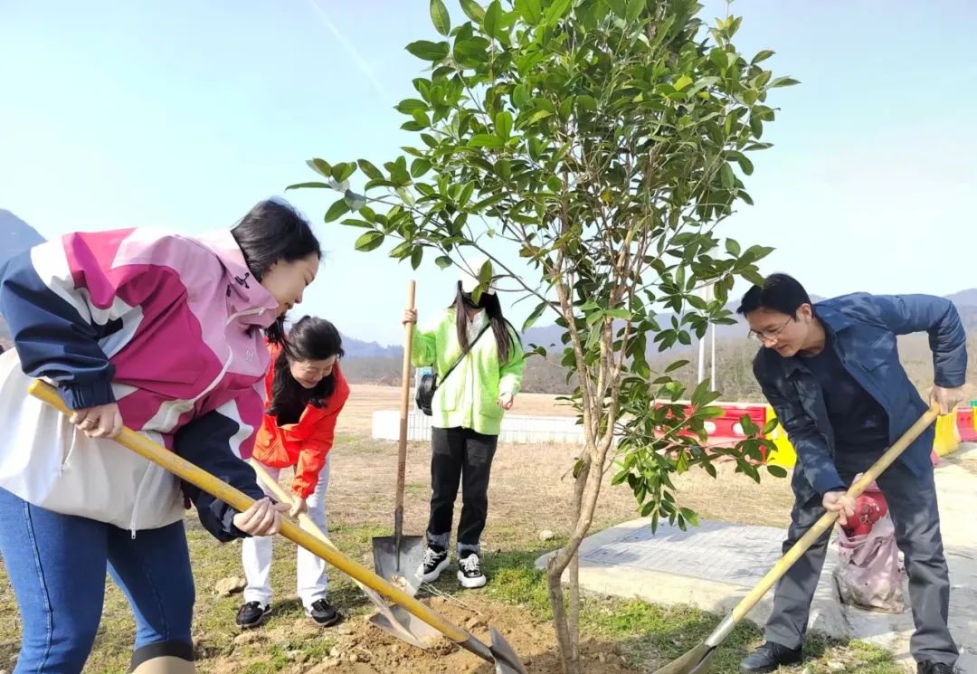 1710297192993958.jpg 3.jpg