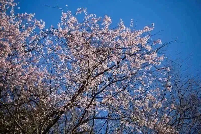 1710383677183844.jpg 1.jpg