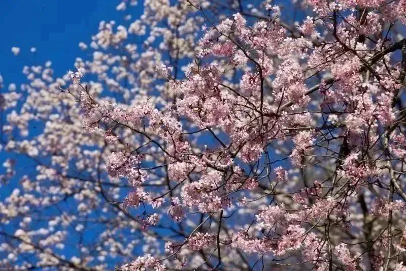 1710383685970754.jpg 2.jpg