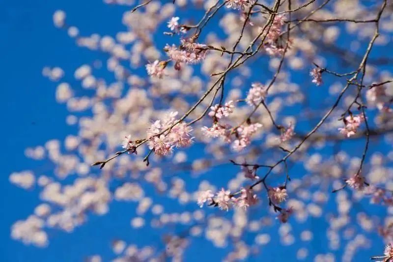 1710383693575335.jpg 3.jpg