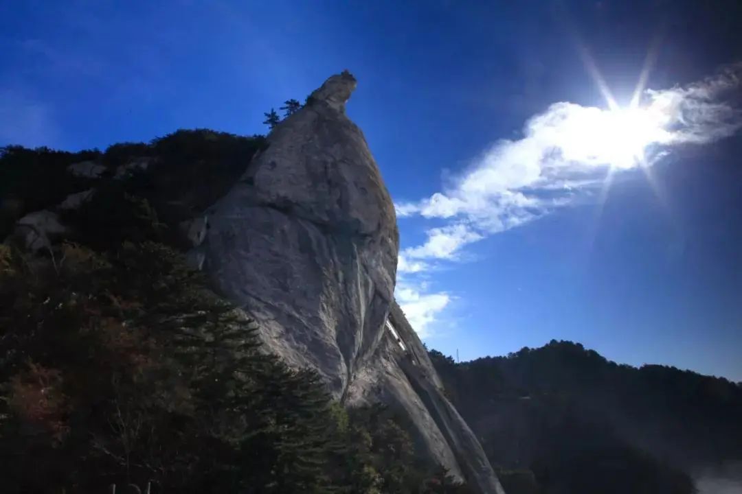 1710648776298952.jpg 5.jpg