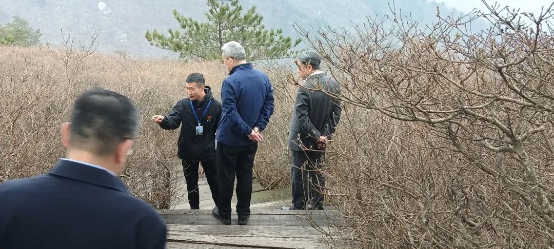 1710648783274502.jpg 6.jpg