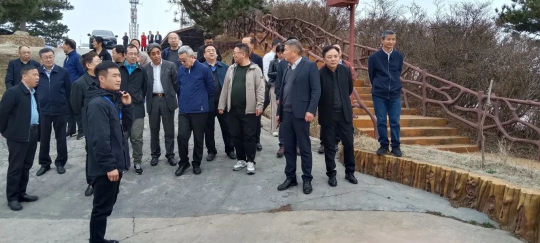 1710648799912199.jpg 9.jpg