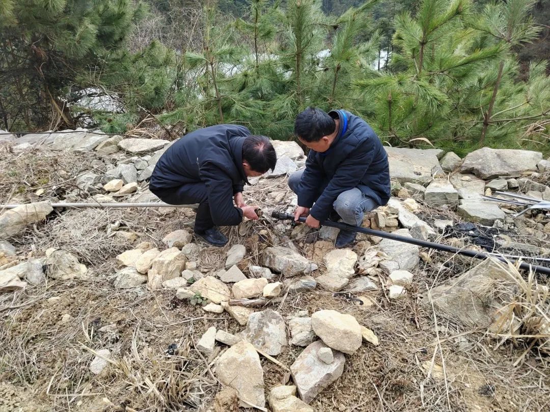 1710924244623681.jpg 14.jpg