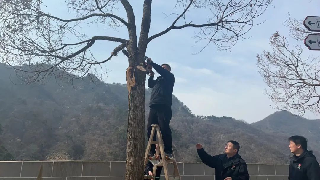 1710924306111831.jpg 23.jpg