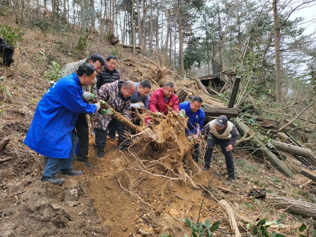 1710924367265780.jpg 31.jpg