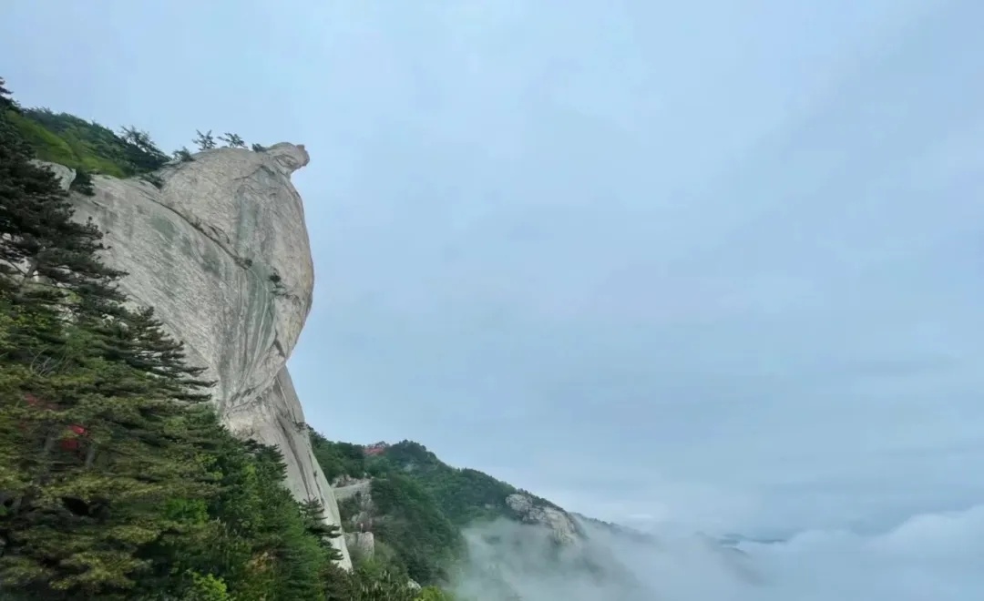 1712046376839524.jpg 640 (6)_副本.jpg