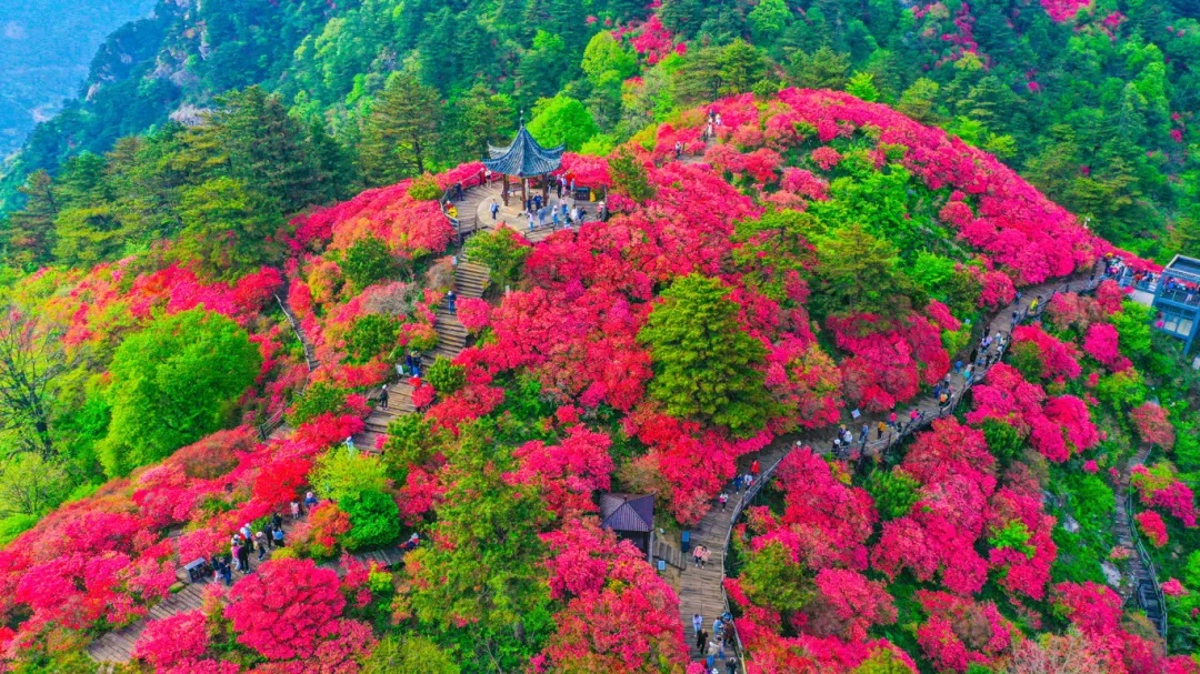 1712046423505249.jpg 640 (7)_副本.jpg