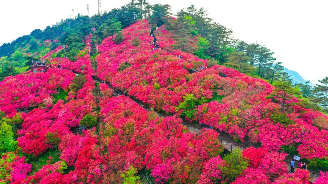 1712046516262312.jpg 640 (8)_副本.jpg