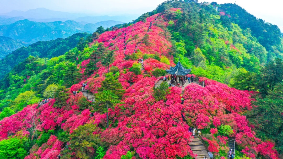 1712046554664793.jpg 640 (9)_副本.jpg