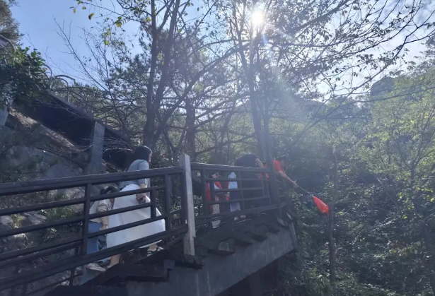 1726971926186780.png image.png