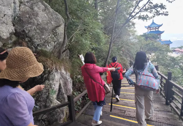 1726971974217468.png image.png