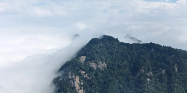 1726971994977677.png image.png