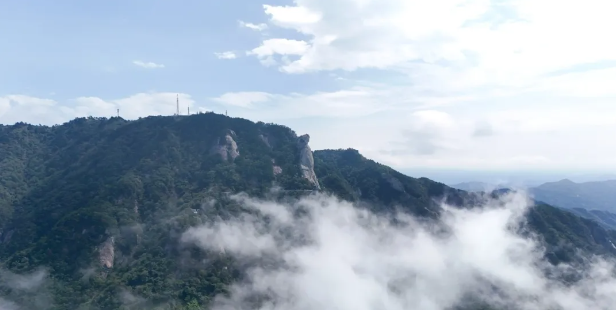 1726972004461544.png image.png